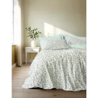 Cotton Box Petite Tek Kişilik Nevresim Takımı Nola Mint